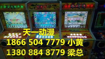 小型雙人打魚(yú)游戲機(jī)的價(jià)格及廣州番禺區(qū)市橋王訊動(dòng)漫產(chǎn)品開(kāi)發(fā)部的相關(guān)介紹